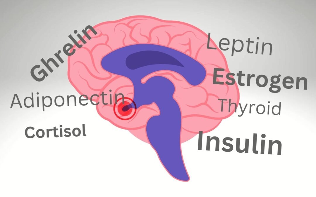 Beyond Calories: Unlocking the Hormonal Puzzle of Obesity and Weight Loss