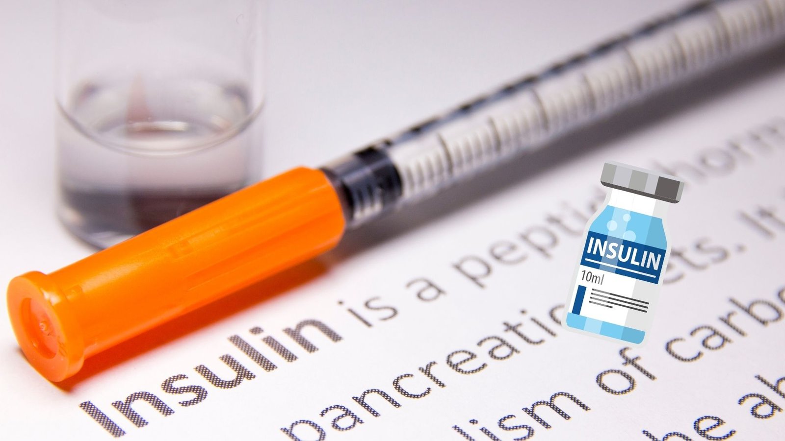 Where Does Insulin Resistance Begin