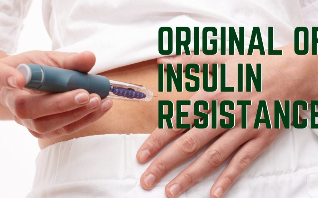 Understanding the Origins of Insulin Resistance: A Path to Better Health