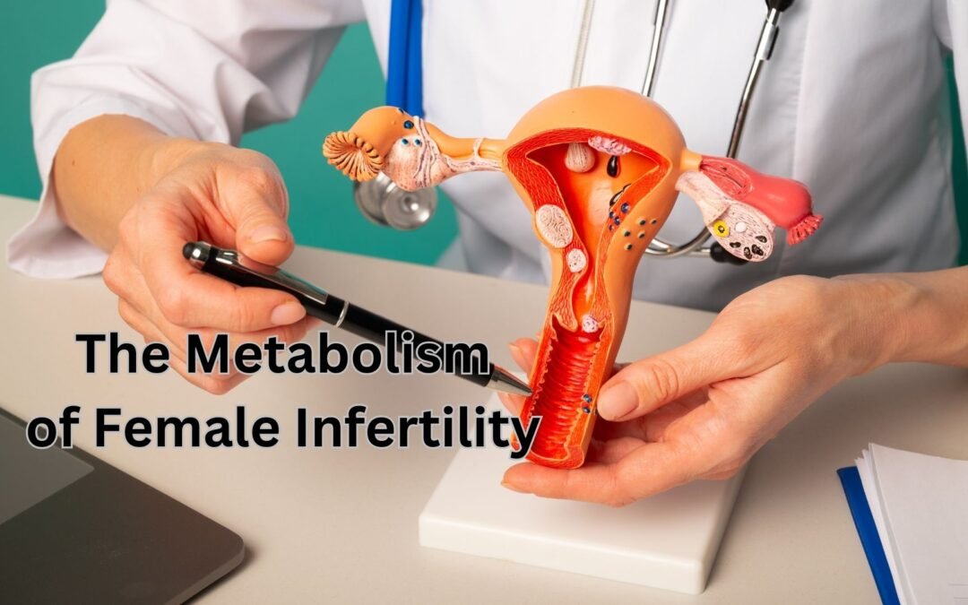 The Metabolism of Female Infertility